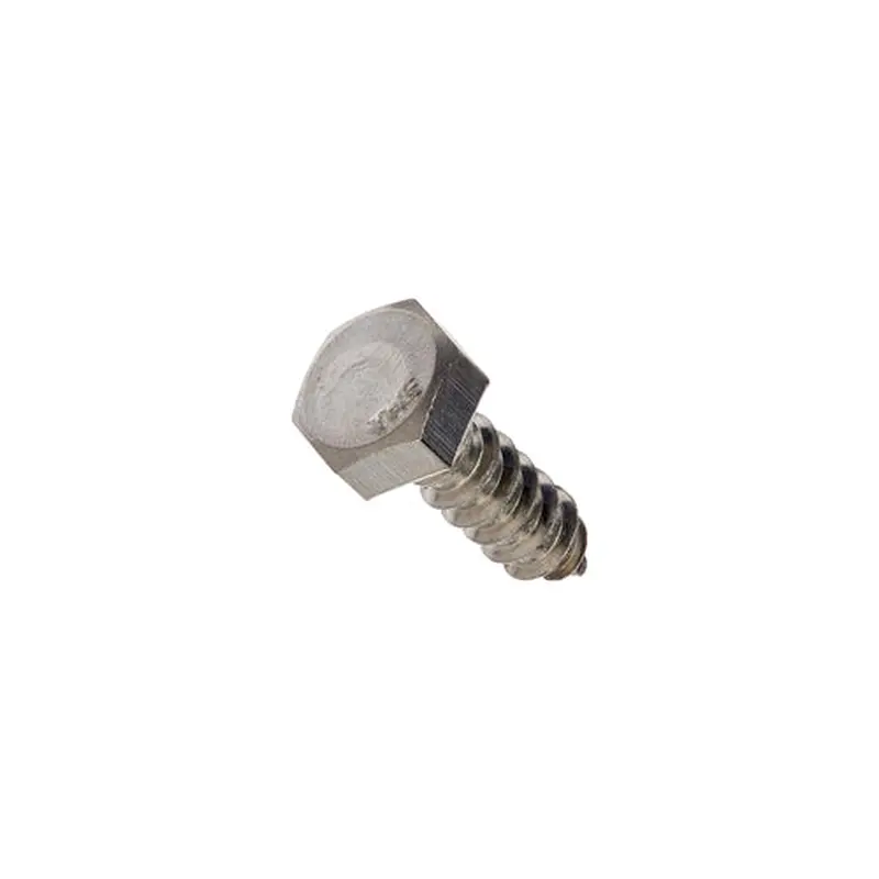 Stainless Steel Hex Head Lag Screws1"