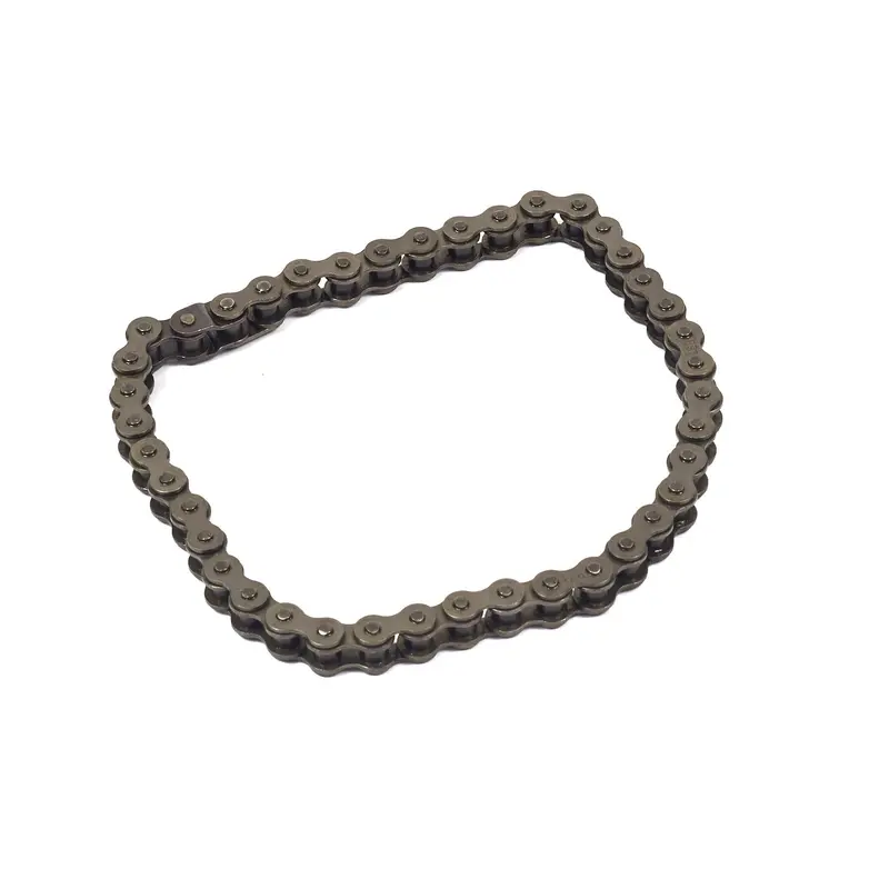 Briggs and Stratton 583013MA Roller Chain