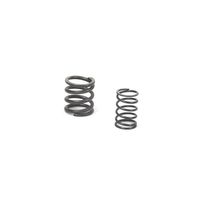 Briggs and Stratton 557024 Valve Spring