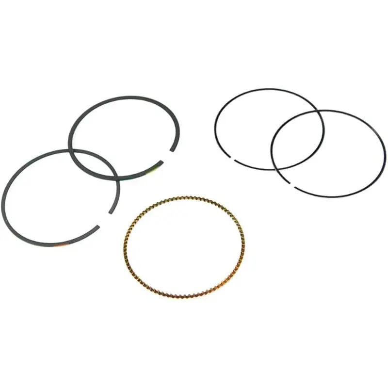 Briggs and Stratton 594098 Ring Set