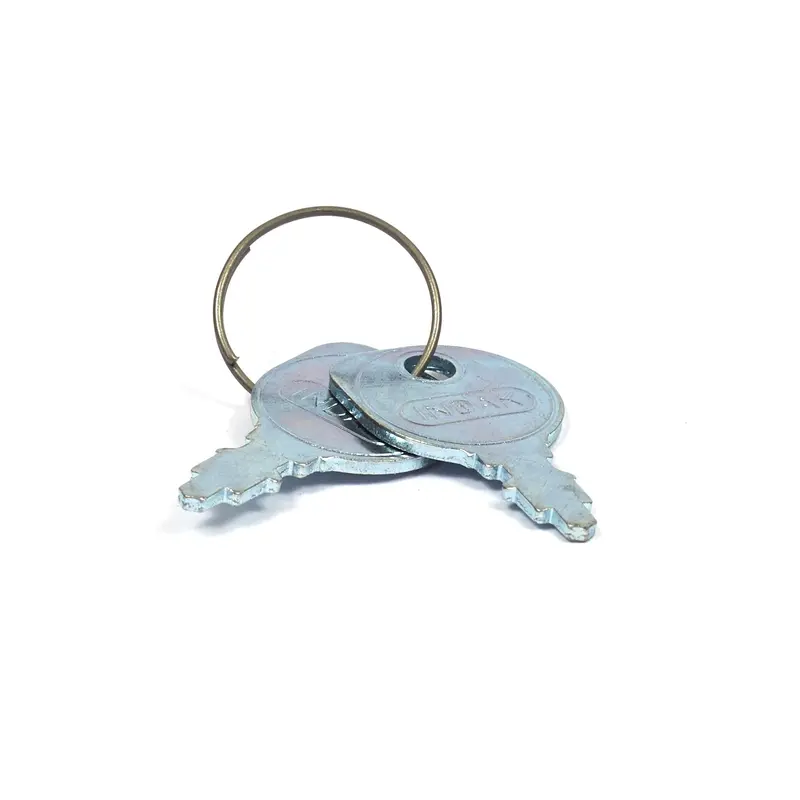 Briggs and Stratton 7011138YP IGNITION KEY PAIR