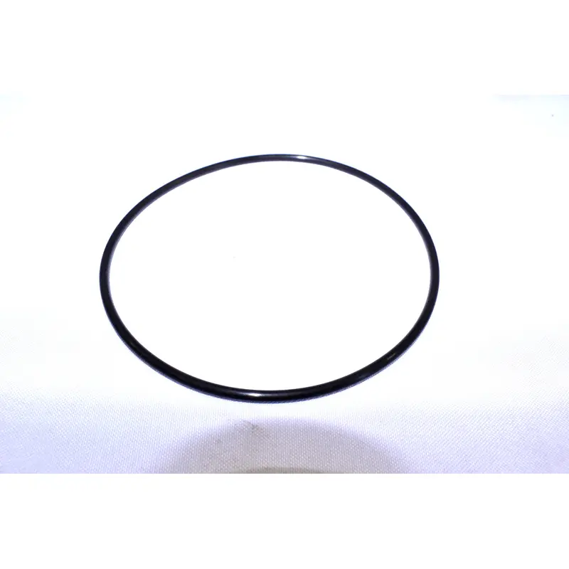 Champion Oring Replacement - P10972A