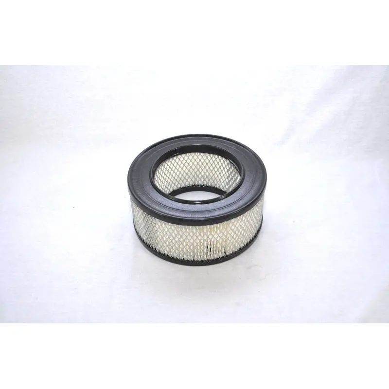 Joy Air Filter Replacement - 01660998