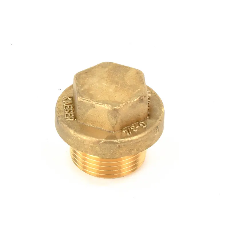 Kaeser Screw Plug Replacement - 6.2619.00010
