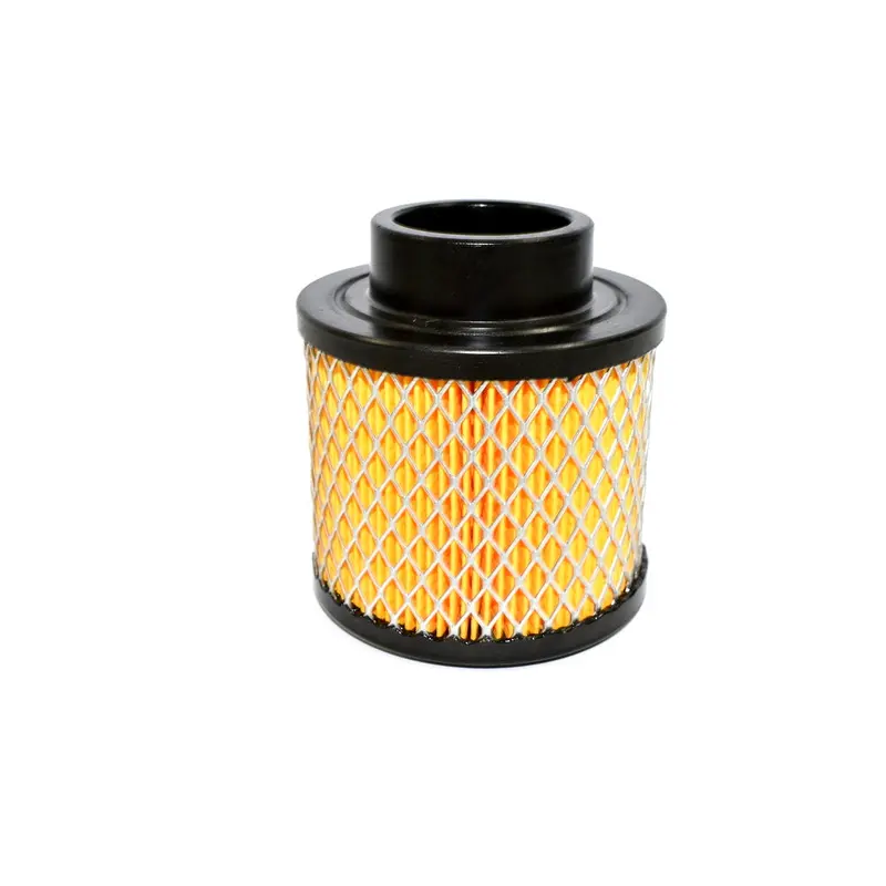 Mann Filter Air Filter Replacement - C1131