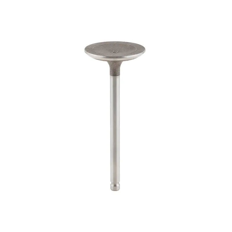 Briggs and Stratton 791935 Intake Valve