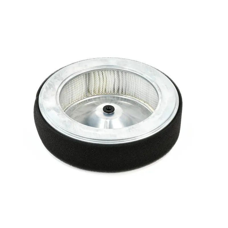 ELGi Air Filter Replacement - 162-0165-S