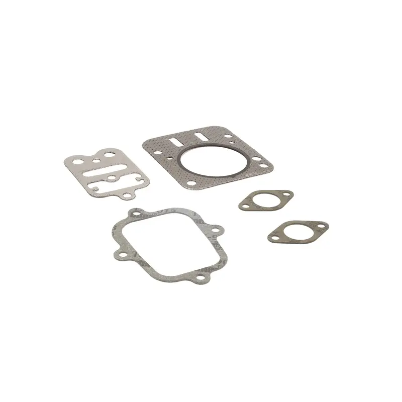 Briggs and Stratton 555636 Valve Gasket Set