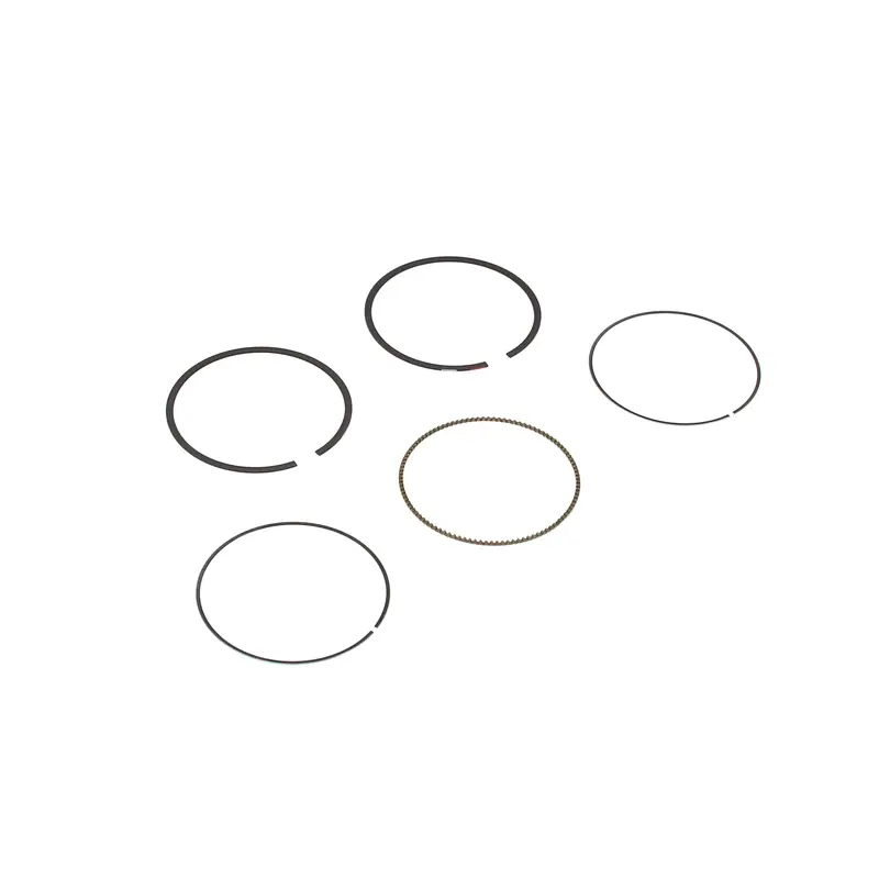 Briggs and Stratton 594437 Ring Set