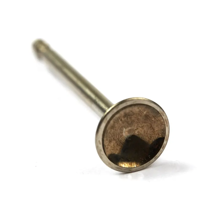 Briggs and Stratton 590394 Exhaust Valve
