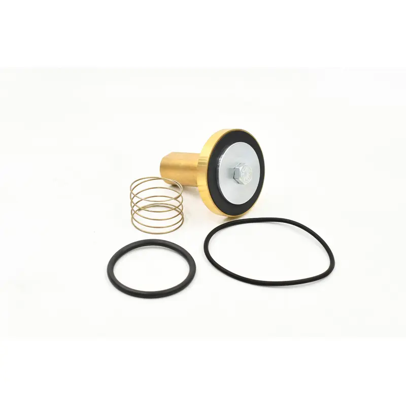 Kaeser Minimum Pressure Check Valve Kit Replacement - 400711.10021