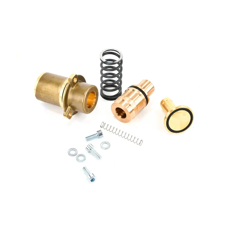 BOGE Minimum Pressure Check Valve Repair Kit Repalcement - 2231308667P