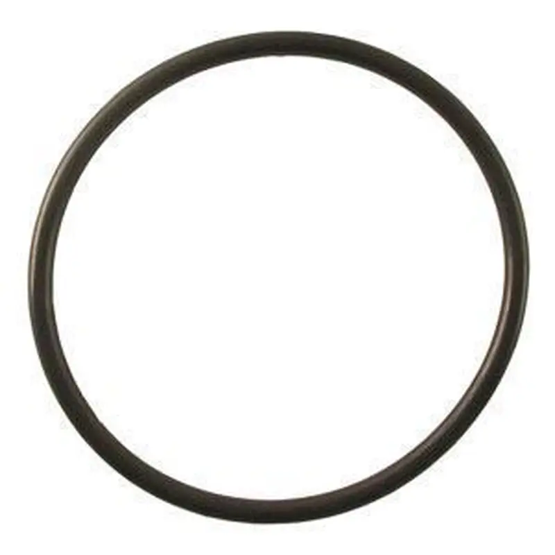 O-Ring | N4784