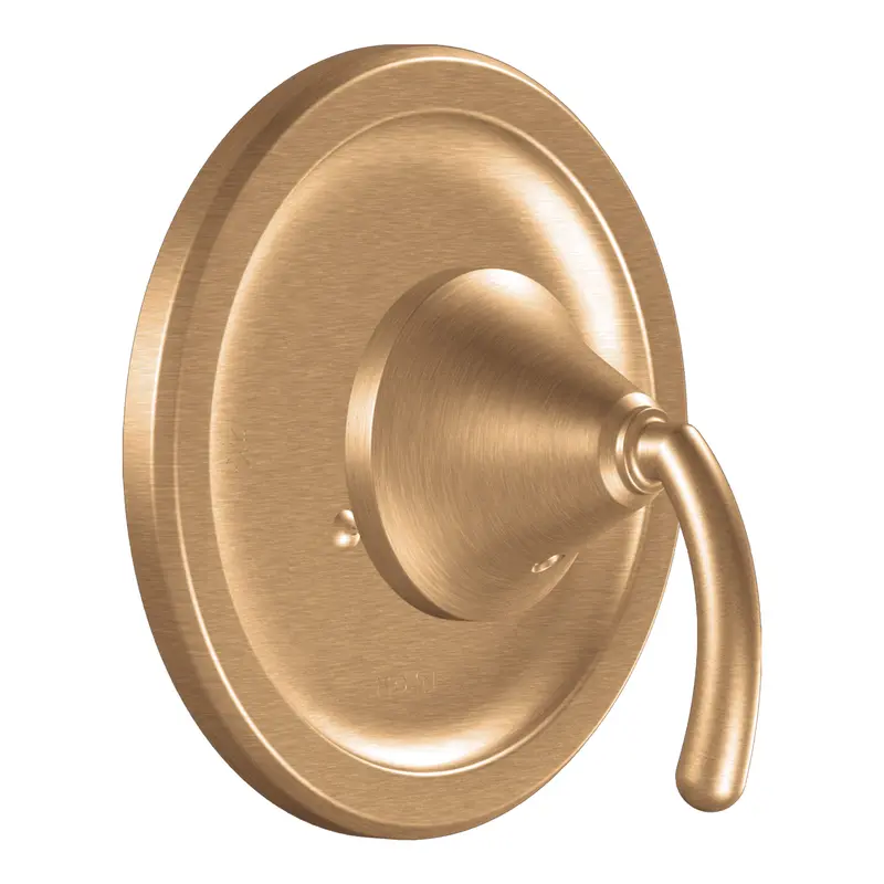 Icon Chrome Moentrol(R) valve trimChrome