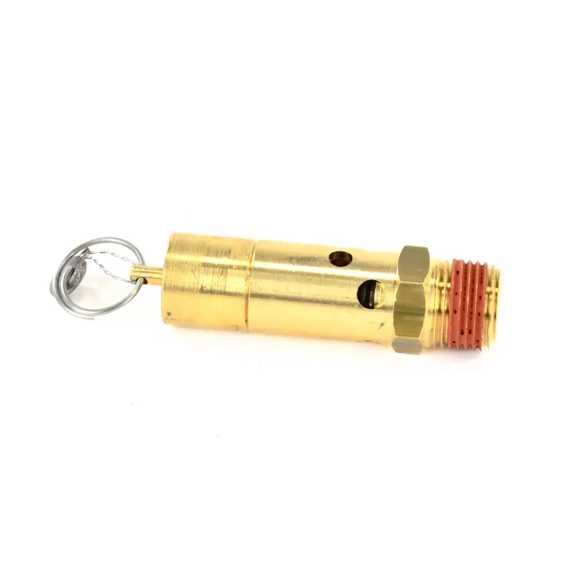 FS Curtis Relief Valve Replacement - RN42815