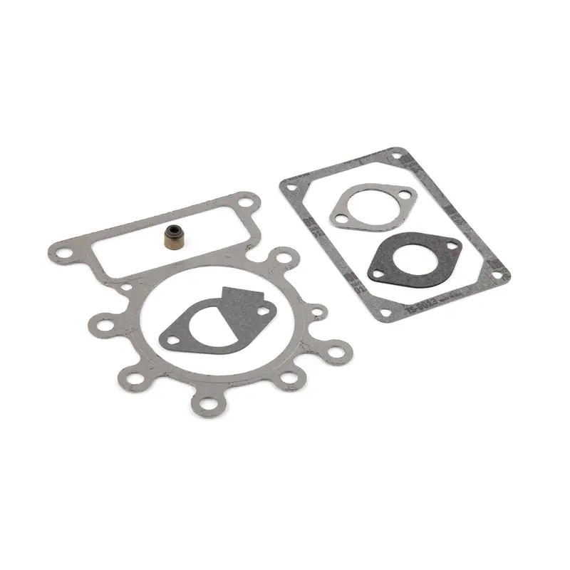 Briggs and Stratton 796189 Valve Gasket Set