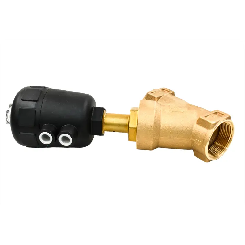 Hankison Purge Valve Replacement - 7438616