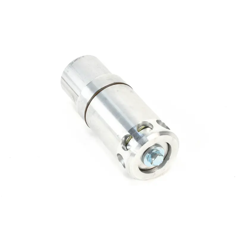 Quincy Minimum Pressure Check Valve Replacement - 128813
