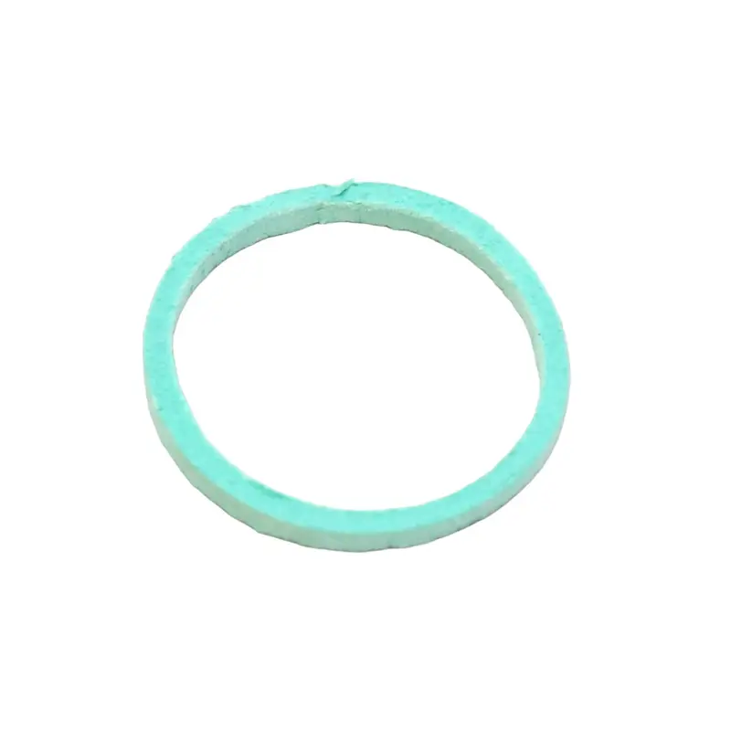 Busch Sight Glass Gasket Replacement - 0480.202.576P