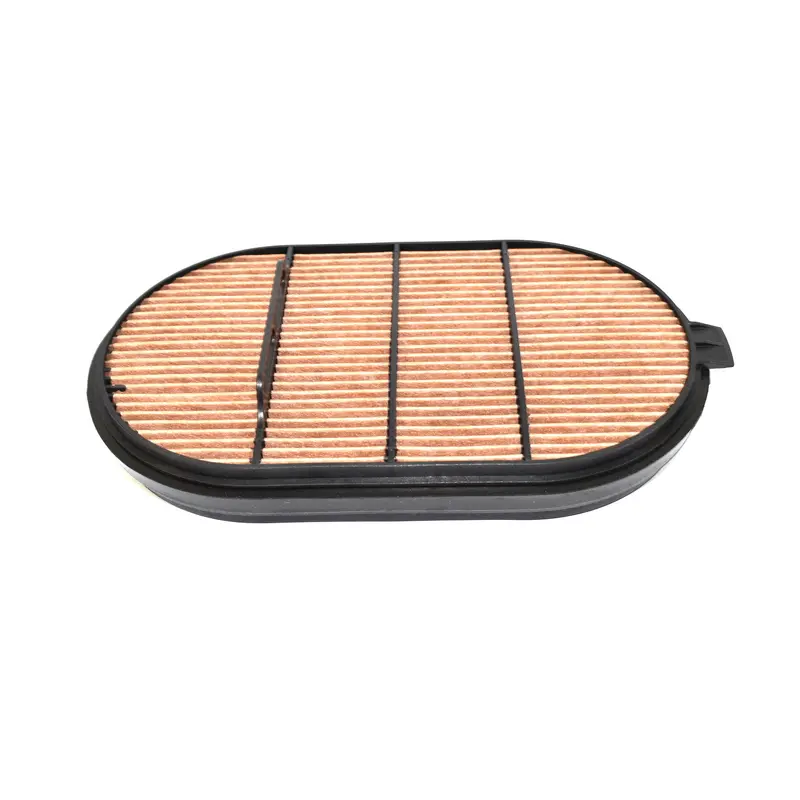 Devair Air Filter Replacement - DSC-001849